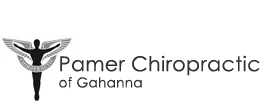 33logo-top Chiropractor Gahanna OH Pamer Chiropractic of Gahanna